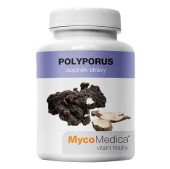 MycoMedica Polyporus 500 mg 90 kapslí