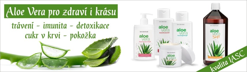 Aloe vera patří mezi nejznámější rostliny s úžasnými léčivými účinky