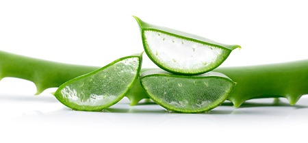 Aloe vera list s gelem