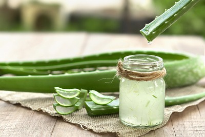 List Aloe vera a gel z vnitřní části listů