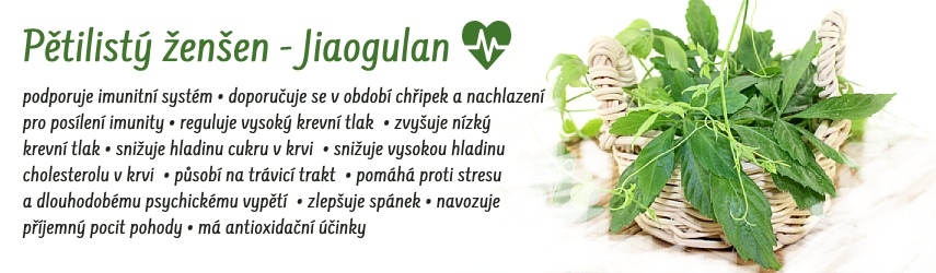 Jiaogulan - bylina nesmrtelnosti