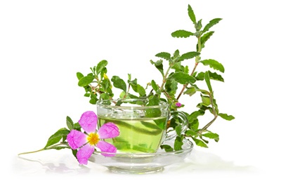 Cistus Incanus čaj