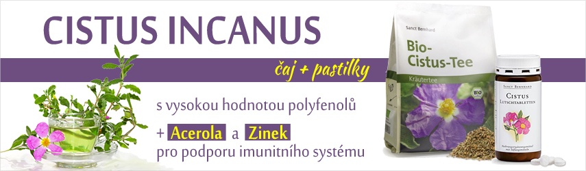 Cistus - středomořská růže. Cistus bylina proti virům a bakteriím, plísním.