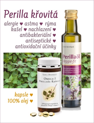 Perila křovitá - silná bylinka - používá se při alergiích, nachlazeních, chřipkách