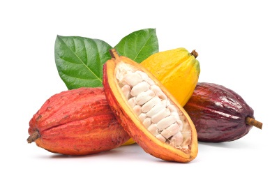 Takto vypadají kakaové plody s kakaovými boby a světlou dužinou