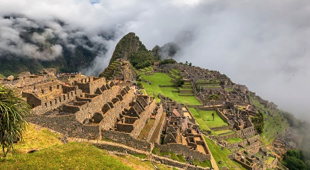 Kávovníky rostou ve vysoké nadmořské výšce v blízkosti hory Machu Picchu 